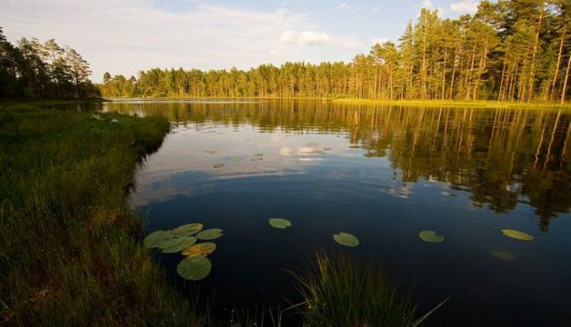 Живописные озёра России - озеро Бросно: где находится, история, легенды, фото, советы путешественникам